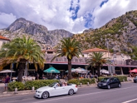 Kotor